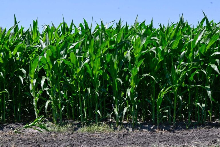 Opinion: The AI revolution keeps advancing. All must share in its gains.