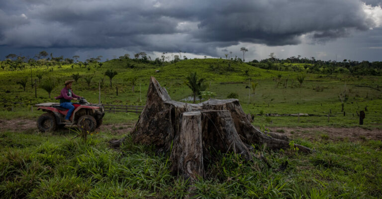 Scientists May Have Identified a Culprit Behind Declining Amazon Rains